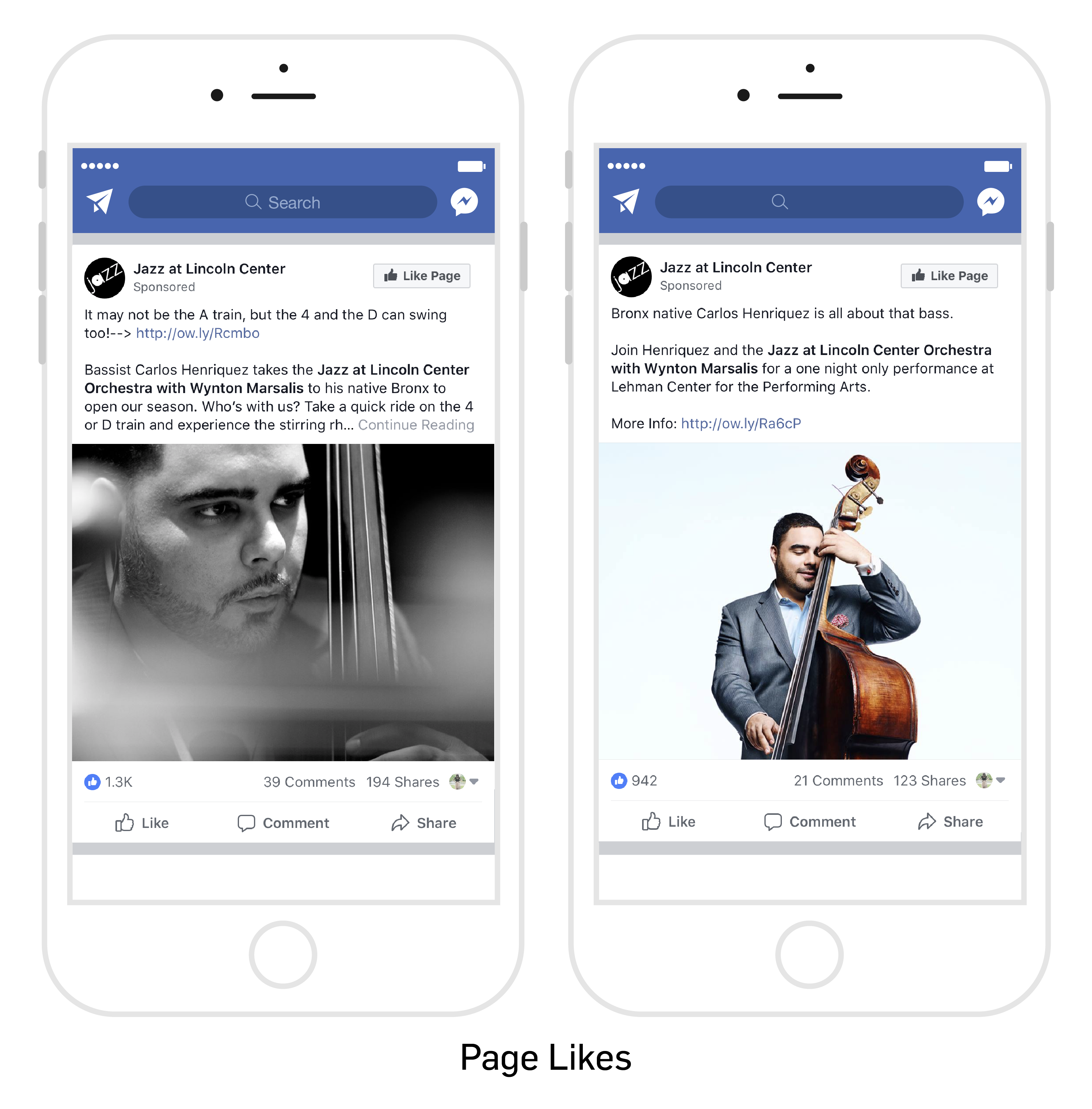 Image with mobile phone examples of "Page Likes"