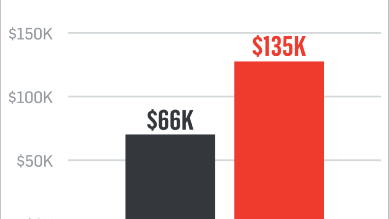 Bar chart showing increase in revenue for $66,000 in 2022 to $135,000 in 2023