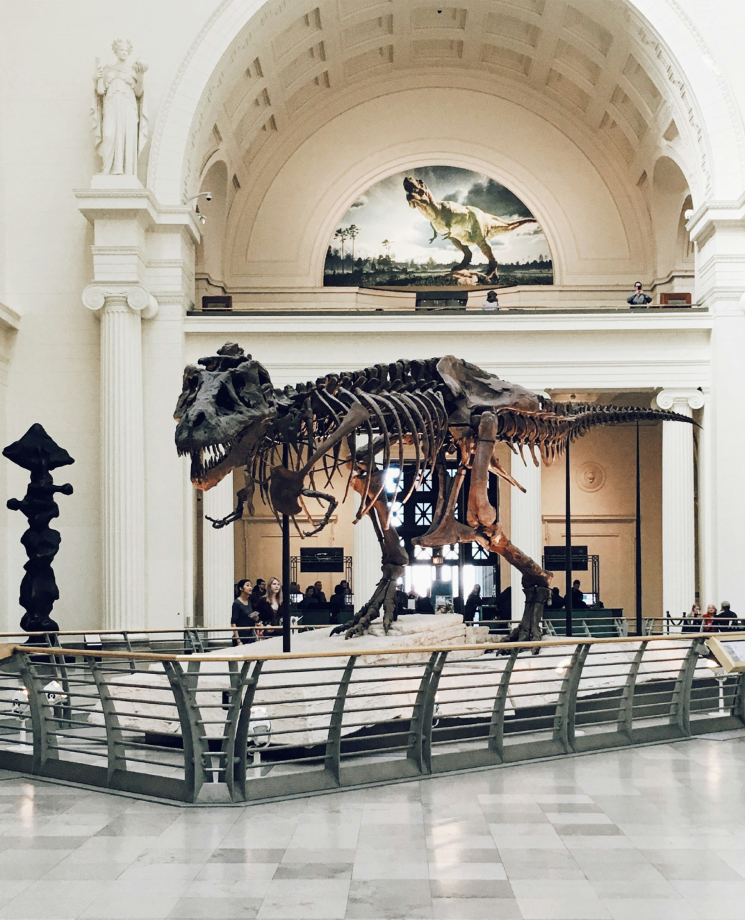Science museum with T-Rex skeleton in the lobby