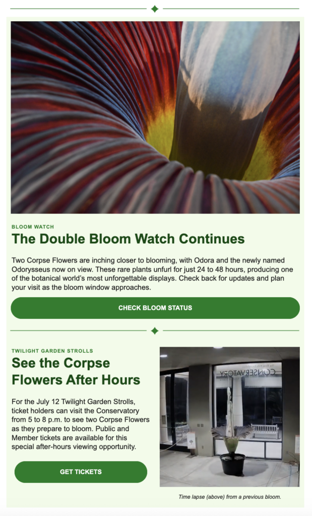 Screenshot from The Huntington about a corpse flower 